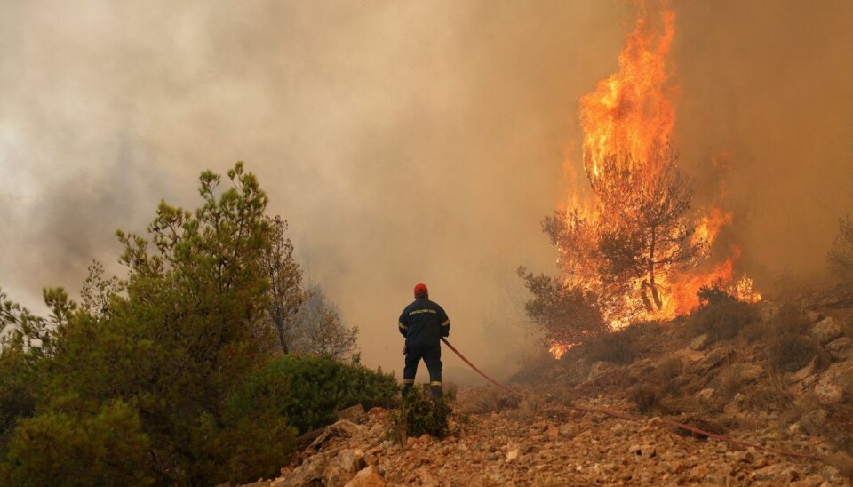 Her forsøger en brandmand at bekæmpe en naturbrand ved landsbyen Kandyli tæt på hovedstaden Athen. Her forsøger en brandmand at bekæmpe en naturbrand ved landsbyen Kandyli tæt på hovedstaden Athen.