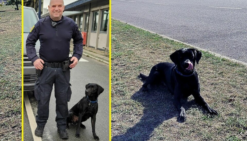 Politiassistent Torben Dalsgaard Andersen, hundesektionen, Sydsjællands og Lolland-Falsters Politi, sammen med sin hund 'James Bond' - der i daglig tale bare bliver kaldt 'Bondo'.