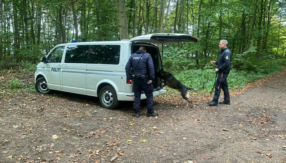 Et skovområde ved Præstø, hvor politiet har søgt intenst med hunde.