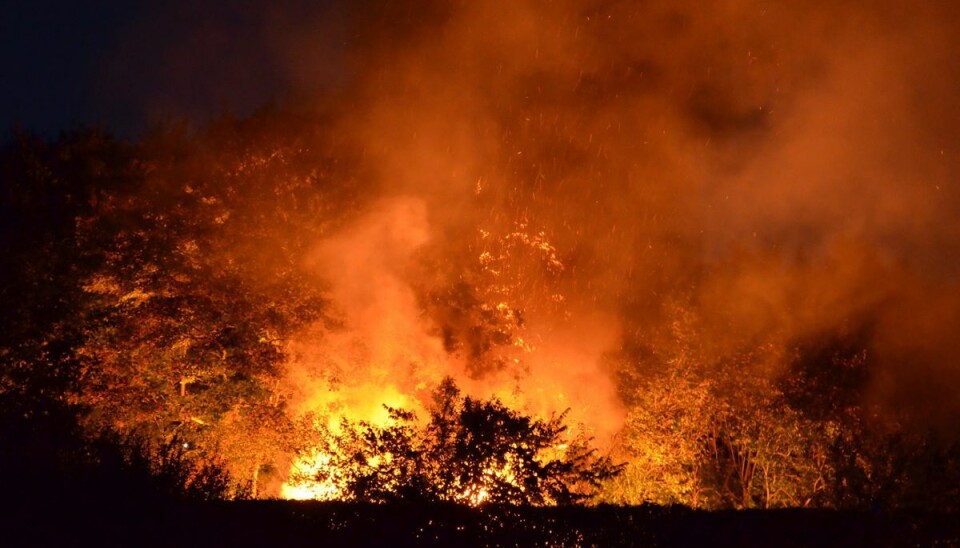 En voldsom brand raserede en kolonihave.