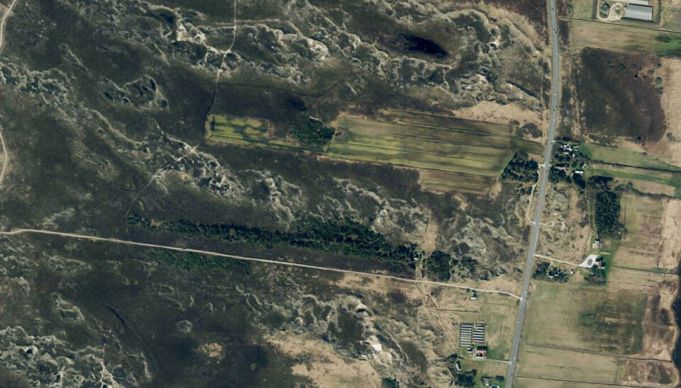 Holmsland Klitvej er den store vej til højre i billedet. Det var på strækningen mellem de to minkfarme, der ligger langs vejen nederst til højre og øverst til højre i billedet. Holmsland Klitvej er den store vej til højre i billedet. Det var på strækningen mellem de to minkfarme, der ligger langs vejen nederst til højre og øverst til højre i billedet.
