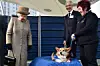 Dronning Elizabeth var glad for hunde af racen corgi. Her er hun fotograferet i 2015, da hun besøger et internat for hunde og katte i London.