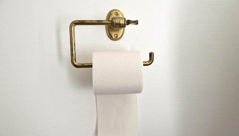 Toiletpapir på holder. (Arkivfoto) Toiletpapir på holder. (Arkivfoto)
