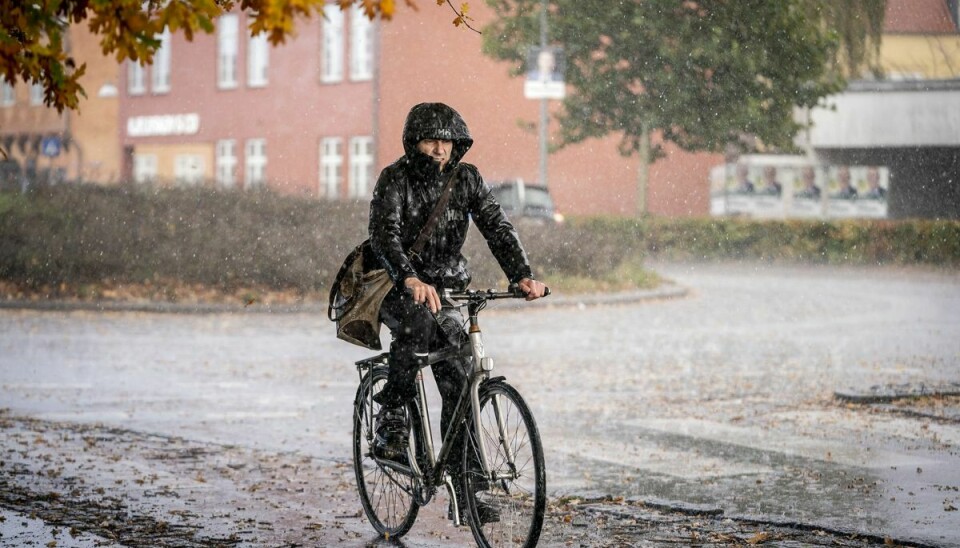 Det kommer til at regne mandag, og bygerne ser ud til at ramme Danmark gennem det meste af weekenden. (Arkivfoto).