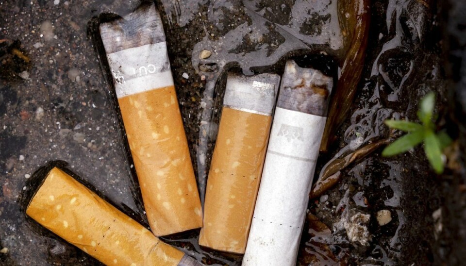 Tobaksindustrien skal fra januar næste år betale 32 millioner kroner årligt til landets kommuner, der står for oprydning af cigaretskod i naturen. (Arkivfoto). Tobaksindustrien skal fra januar næste år betale 32 millioner kroner årligt til landets kommuner, der står for oprydning af cigaretskod i naturen. (Arkivfoto).