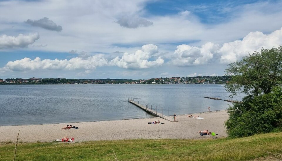 Det er nu igen sikkert at bade ved Rebæk Strand ved Kolding. Det er nu igen sikkert at bade ved Rebæk Strand ved Kolding.