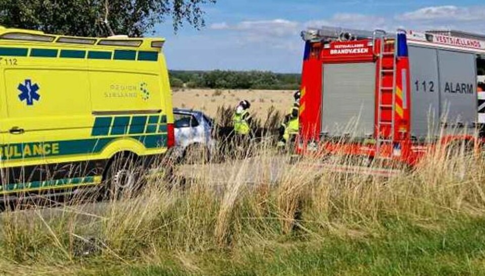 Bilen ramte en lille gruppe træer ved vejen.