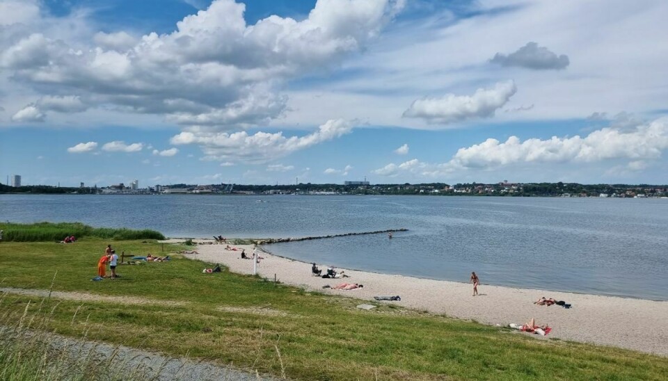 Det er denne strand, Rebæk Strand i Kolding, der er udstedt badeforbud ved.