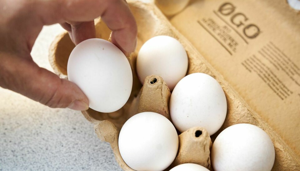 Æggene er solgt i hele landet. (Arkivfoto).