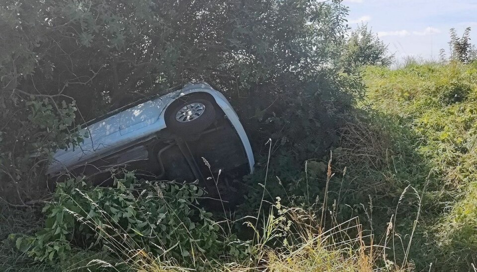 Bilen landede oven i et stort buskads. Bilen landede oven i et stort buskads.