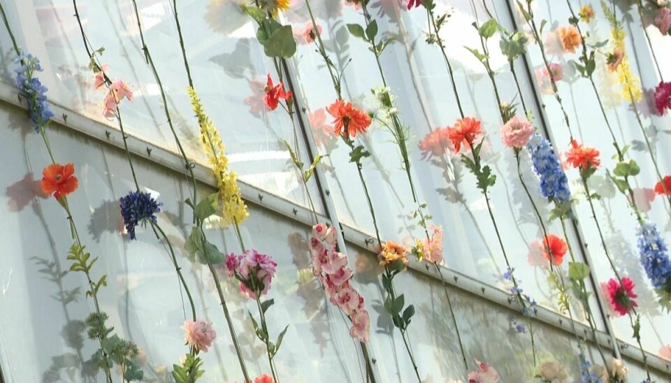 Cobraens glasparti er dækket af blomster, som stammer fra blomsterfestivalen tidligere i år.