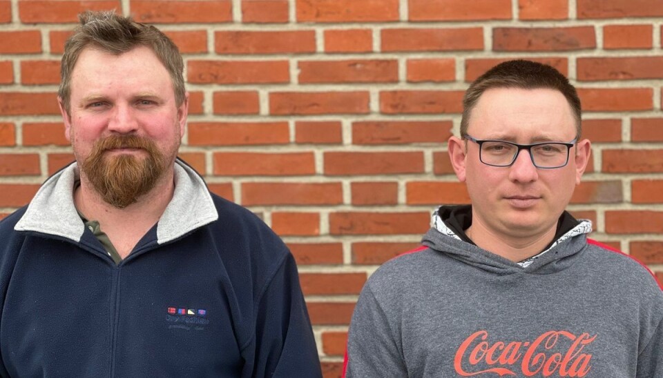 De brasilianske fodermestre Eduardo Frey (tv.) og Samuel Siveris (th.) mener, at de er blevet snydt for løn hos en stor, dansk landbrugsvirksomhed.