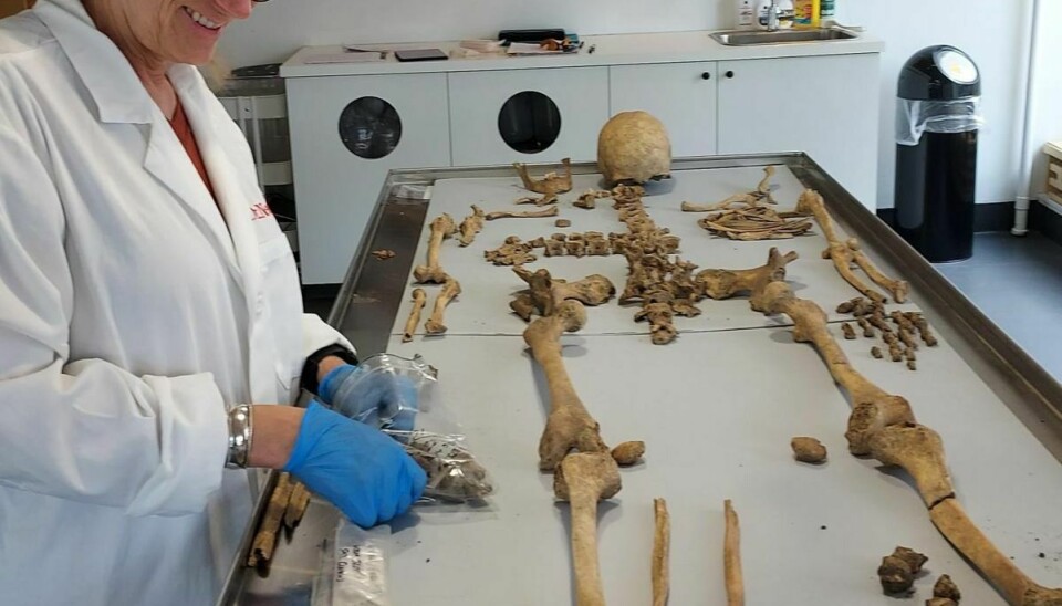 Her undersøger eksperten Elizabeth Newell skelettet.