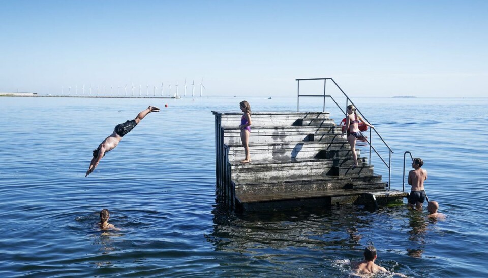 Europa er brandvarm, og i disse dage får det temperaturerne til at stige i Danmark. Onsdag kan den hidtidige varmerekord på 36,4 grader blive slået i Store Jyndevad. (Arkivfoto).