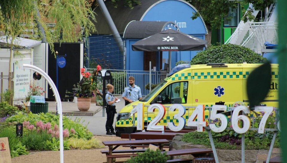 Ulykken skete i forlystelsen Cobraen. Ulykken skete i forlystelsen Cobraen.