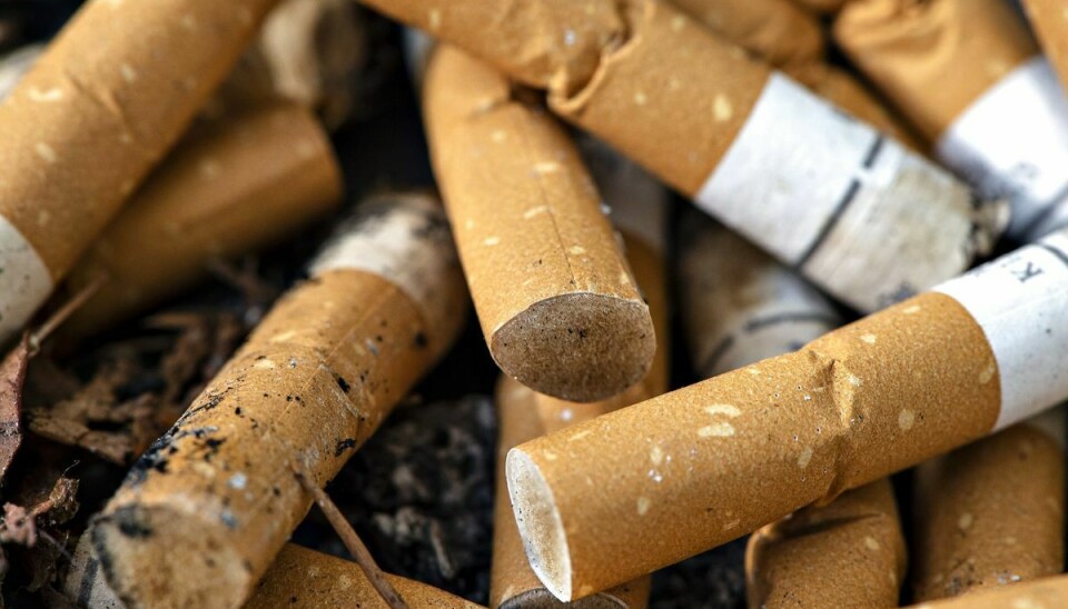 Mellem 90 og 95 procent af alle lungekræfttilfælde i Danmark vurderes at være rygerelaterede. (Arkivfoto).