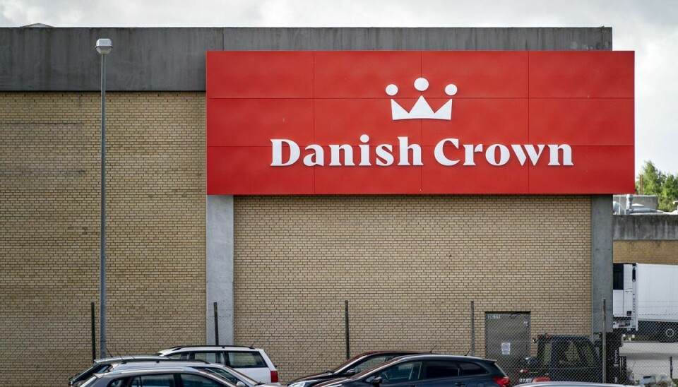 Danish Crown slagteriet i Ringsted.