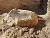 Endnu et interessant fund i Pompeii.