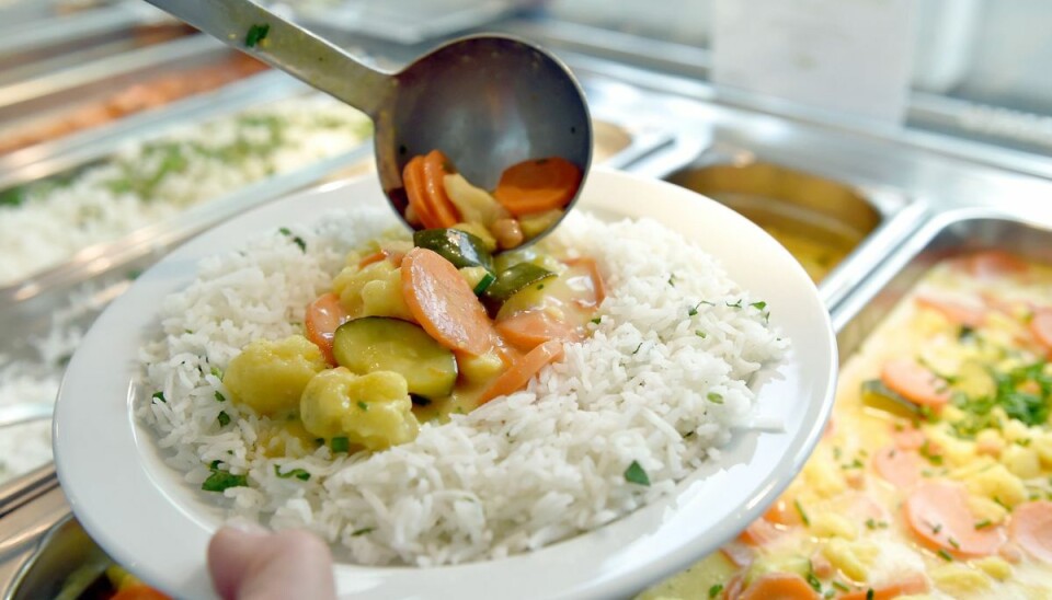 Det er en menneskeret med et kødfrit alternativ i offentlige køkkener, mener Dansk Vegetarisk Forening. (Genrefoto). Det er en menneskeret med et kødfrit alternativ i offentlige køkkener, mener Dansk Vegetarisk Forening. (Genrefoto).