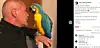 Carlos ejer sender en dybfølt tak på Facebook, efter papegøjen er vendt hjem.