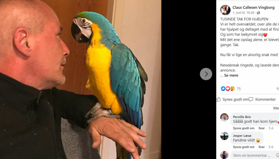 Carlos ejer sender en dybfølt tak på Facebook, efter papegøjen er vendt hjem.