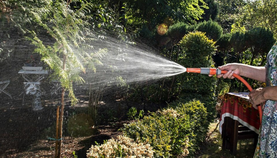 De sommerlige temperaturer er på vej. De sommerlige temperaturer er på vej.