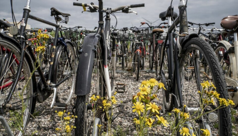 En fynbo har hvidvasket utallige stjålne cykler. En fynbo har hvidvasket utallige stjålne cykler.