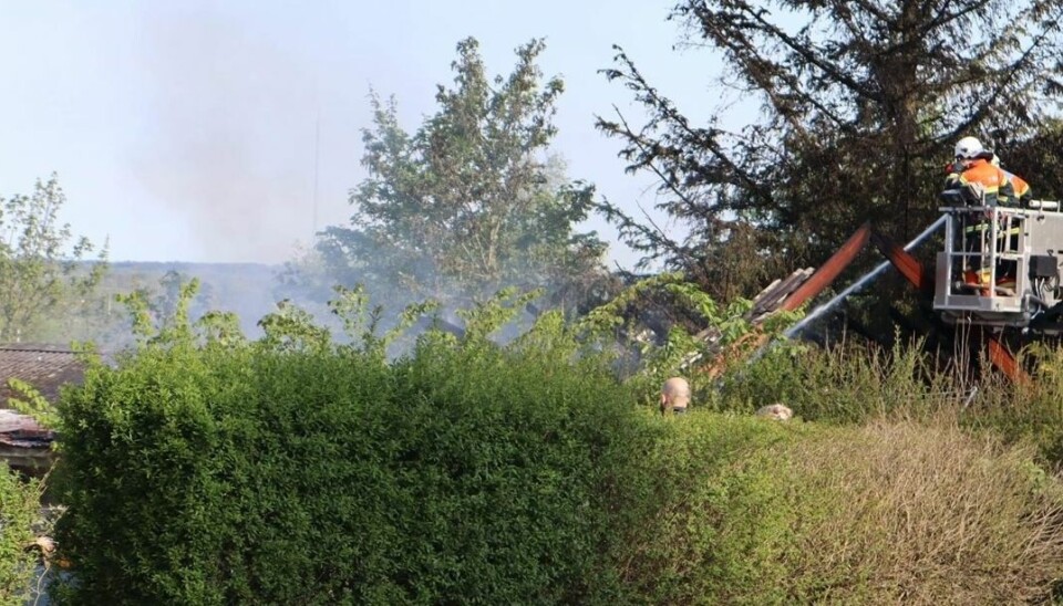 Brandfolkene reddede flere hunde ud af det brændende hus.