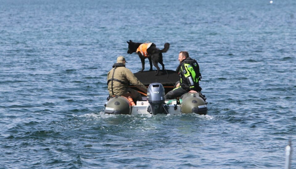 Politiet og Forsvaret ude på vandet med dykkerhunde.