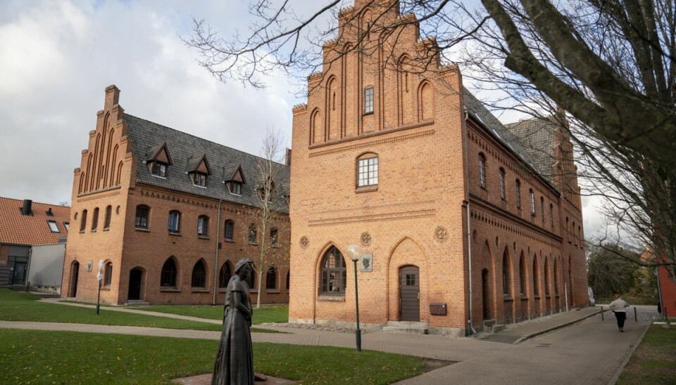 Noemi Katznelson stopper i bestyrelsen i den stormbruste skole