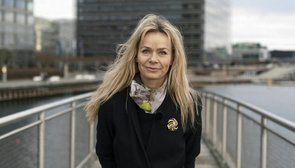 Anne Glad har en kandidatgrad i nordisk sprog og film- og medievidenskab og har arbejdet mange år i reklamebranchen. (Arkivfoto).