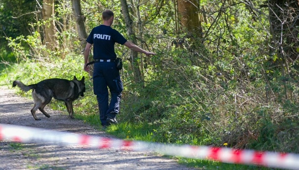 En 50-årig mand blev anholdt mandag eftermiddag i forbindelse med en naturbrand ved Ribevej i Egtved.