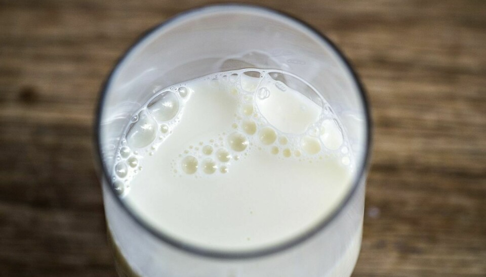 Københavns Kommune kan spare 1,5 millioner kroner på at stoppe ordning for skolemælk. I Aarhus og Aalborg kan alle børn stadig få mælk i frokostpausen.