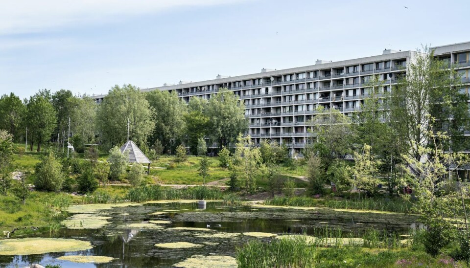 Gellerupparken får fint besøg til juni, når Hendes Majestæt Dronningen lægger vejen forbi