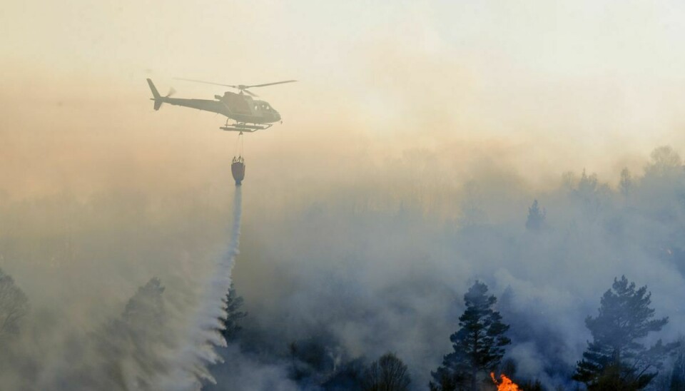 Norsk brandvæsen måtte tage det tunge skyts i brug, da der tirsdag eftermiddag udbrød brand på en fjeldside i den vestlige by Bergen.