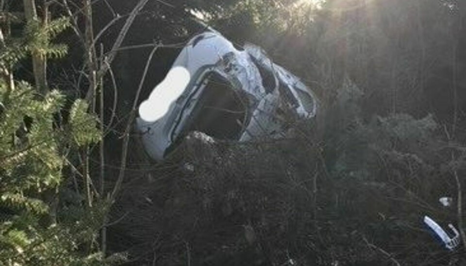 Bilen endte oppe i træerne, da et lokalt pizzabud kørte galt.