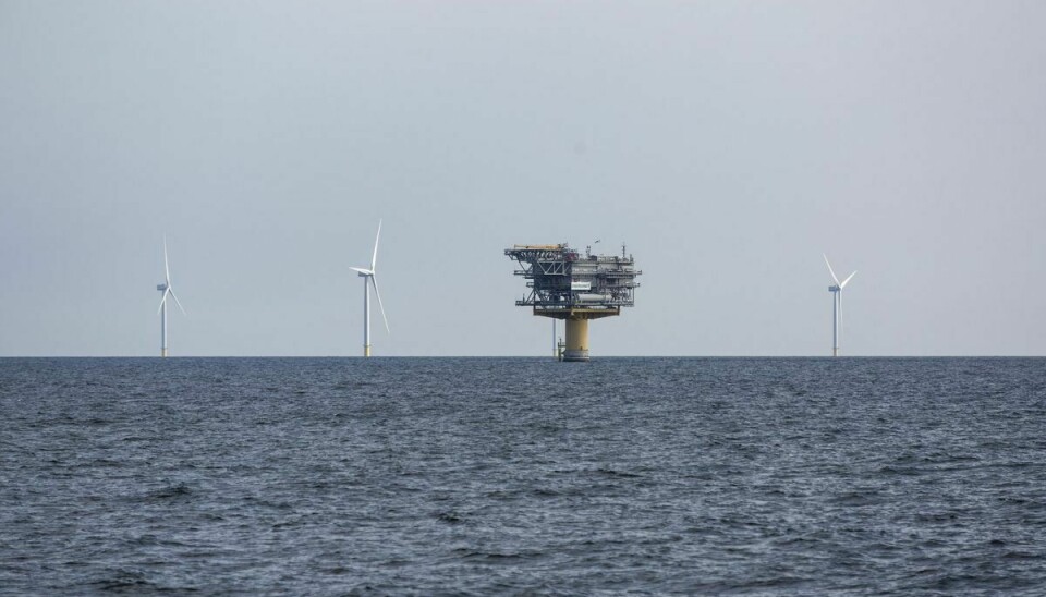 Havvindmølleparken Kriegers Flak (på billedet) ligger i Østersøen mellem Danmark, Sverige og Tyskland. Efter den blev sat i drift i september sidste år, har man oftere set et produktionsoverskud af strøm i Østdanmark, siger konsulent fra Green Power Denmark til Børsen.