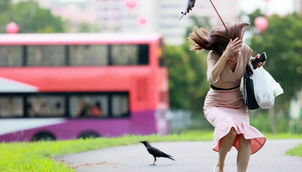 En aggressiv krage går til angreb på en sagesløs kvinde i et boligområde i Singapore.