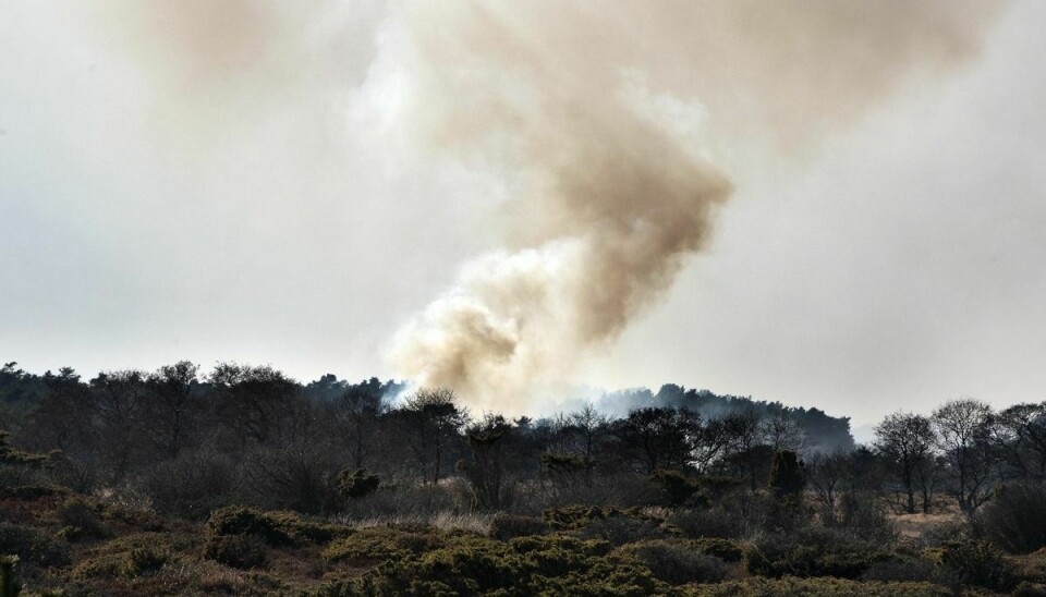 Brand i den lukkede Tofte Skov i Lille Vildmose i Himmerland. (Arkivfoto)