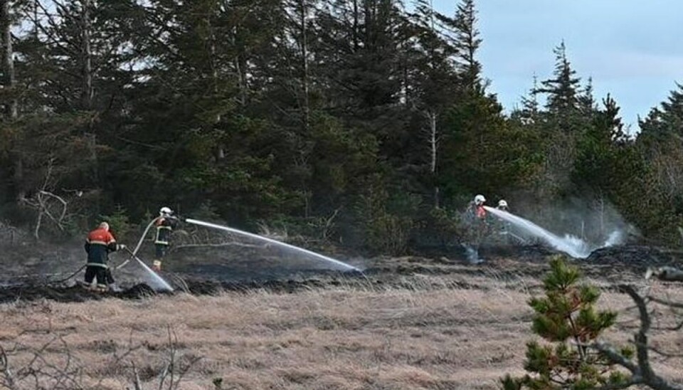 Naturbranden skulle stoppes, inden den nåede skoven Naturbranden skulle stoppes, inden den nåede skoven
