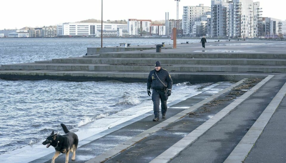 Trygfonden frygter en stigning i 2022 i antallet af drukneulykker på havne, skriver Jyllands-Posten. (Arkivfoto).