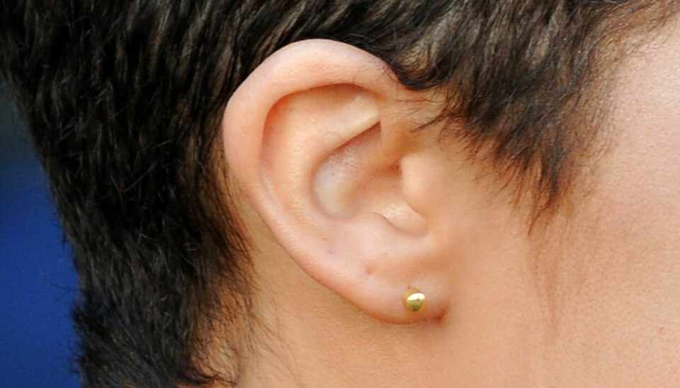 Tinnitus er en alvorlig lidelse, som giver høretab.