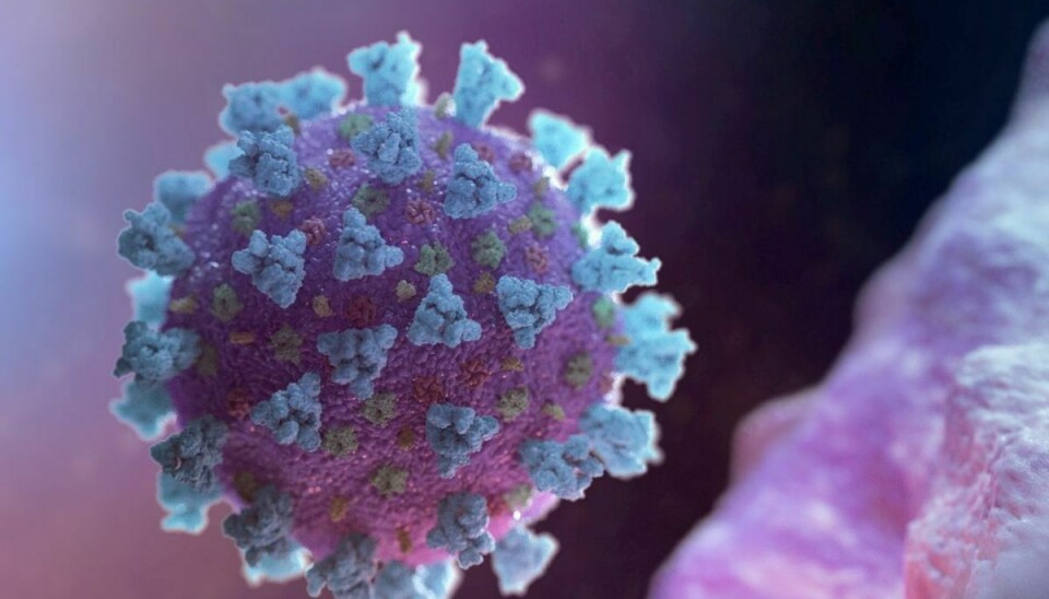 Der er lørdag registreret 4.325 smittede med coronavirus det seneste døgn, oplyser Statens Serum institut.