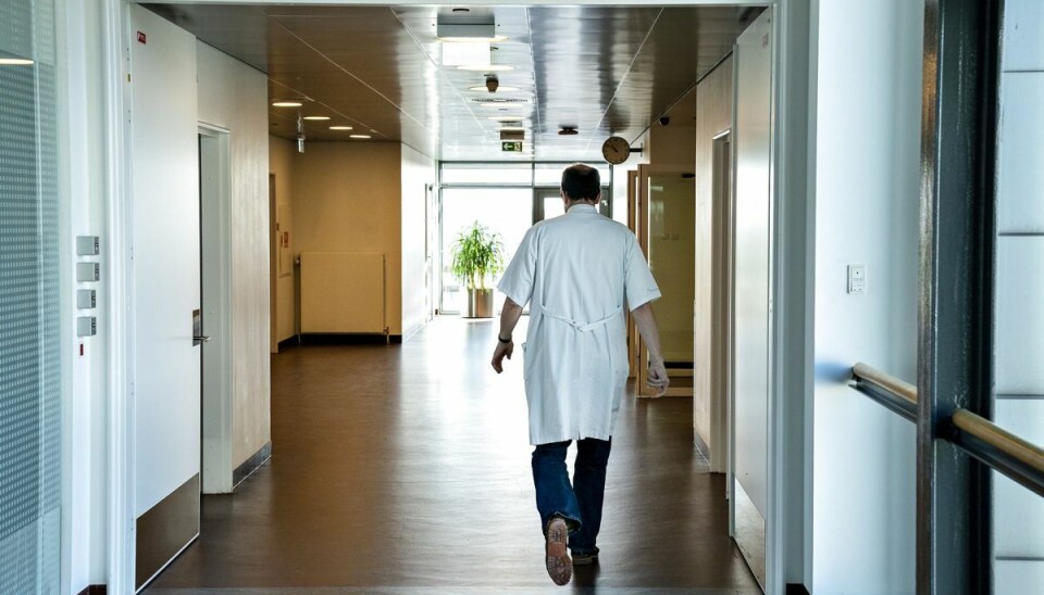 Det er blandt andet en stigning i beskæftigelsen i sundhedssektoren, der i december er med til at trække den samlede beskæftigelse op. Det er blandt andet en stigning i beskæftigelsen i sundhedssektoren, der i december er med til at trække den samlede beskæftigelse op.
