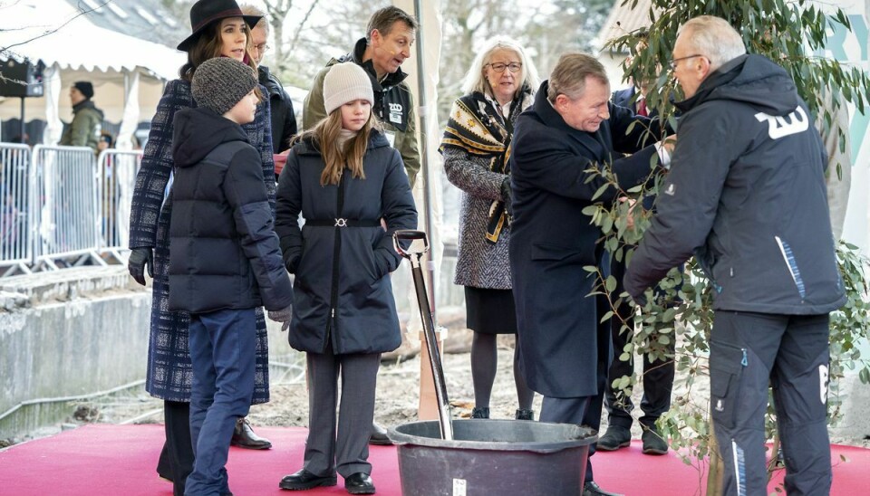 Kronprinsessen tog det første spadestik til Marys Australske Have i København Zoo.