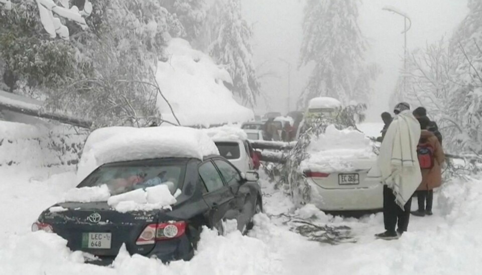 Biler blev fanget i sneen, da de var på vej mod byen Murree, som flere de seneste dage har besøgt for at se kraftigt snefald.