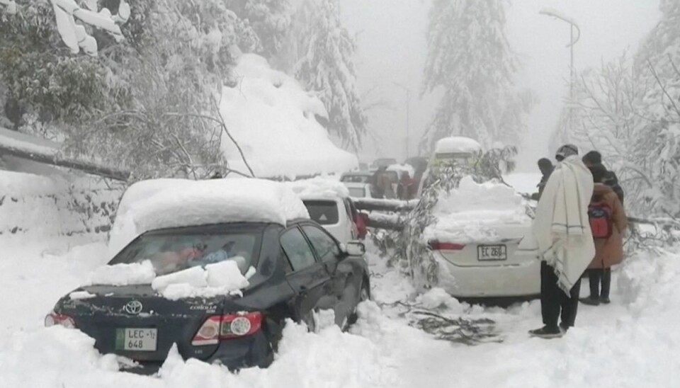 Biler blev fanget i sneen, da de var på vej mod byen Murree, som flere de seneste dage har besøgt for at se kraftigt snefald. Biler blev fanget i sneen, da de var på vej mod byen Murree, som flere de seneste dage har besøgt for at se kraftigt snefald.