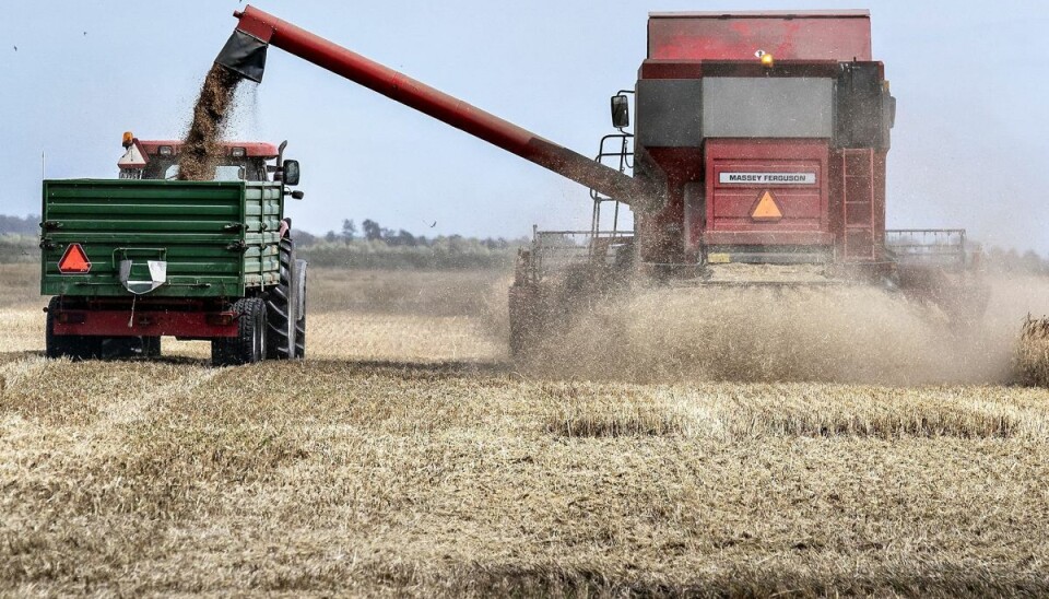 Store landbrugsarealer er en trussel for biodiversiteten. Danmark skal gøre mere for at sikre naturen omkring de store marker, mener EU-Kommissionen. (Arkivfoto).