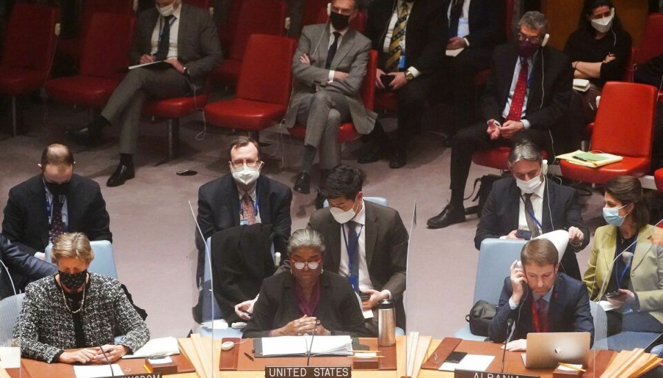 FN's Sikkerhedsråd mødtes natten til tirsdag for at drøfte konflikten i Ukraine.