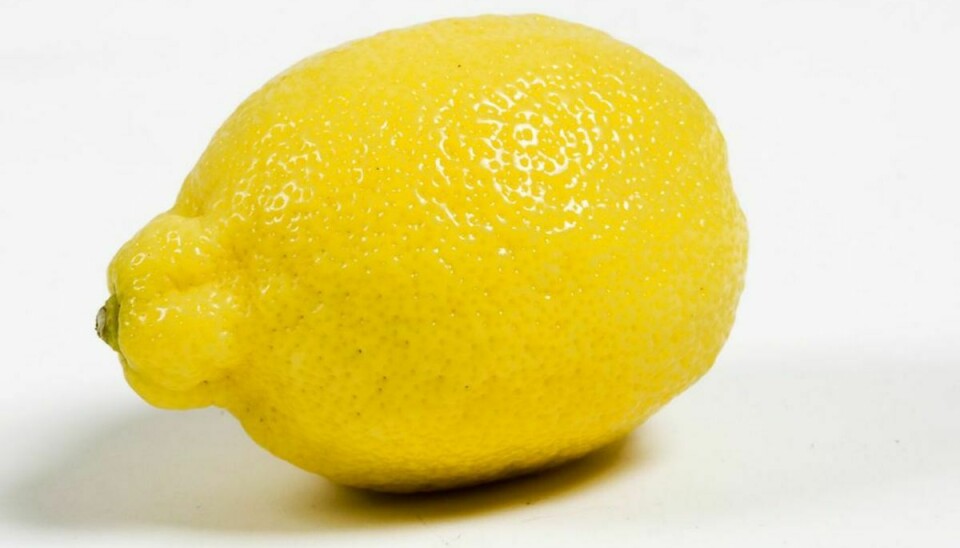 Citroner er også sure. Det samme gælder her. Derfor er det vigtigt, at du for eksempel – når du griller fisk – venter med at putte citron ind i sølvpapirspakken.